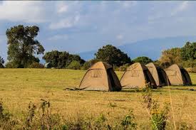 Safari Camping Tips: Enjoying the Outdoors Under African Skies